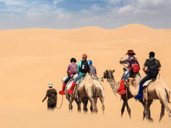 Dubai desert camel ride