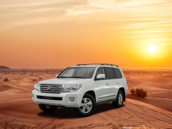 Best Morning Desert Safari Dubai