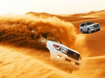 Red Dune Bashing Desert Safari